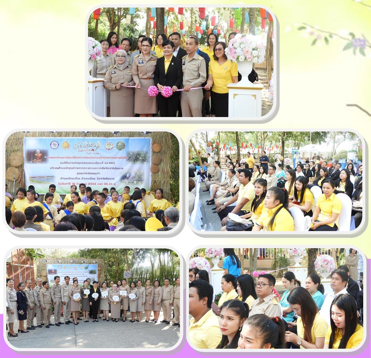 Mol-Thailand