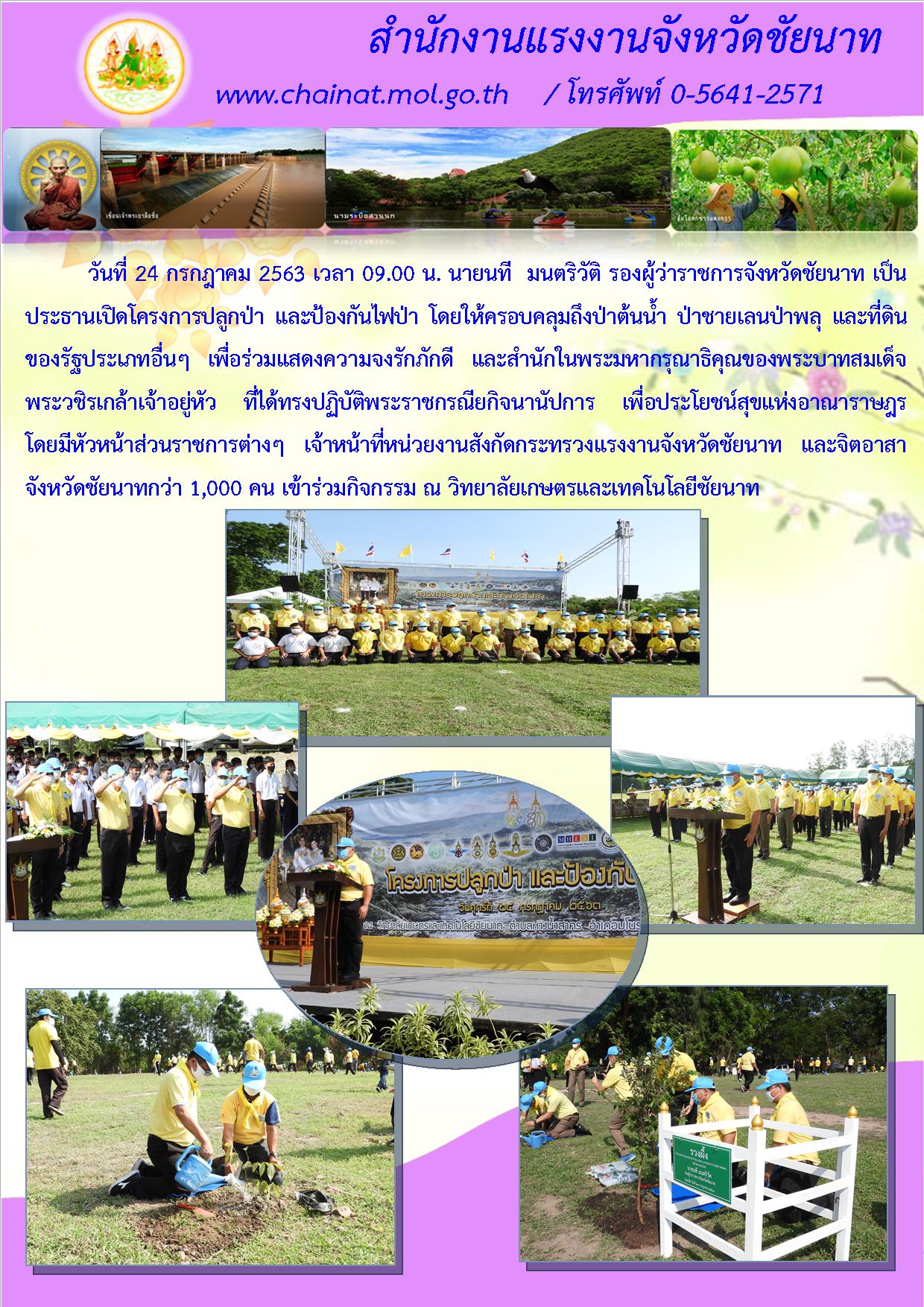 Mol-Thailand