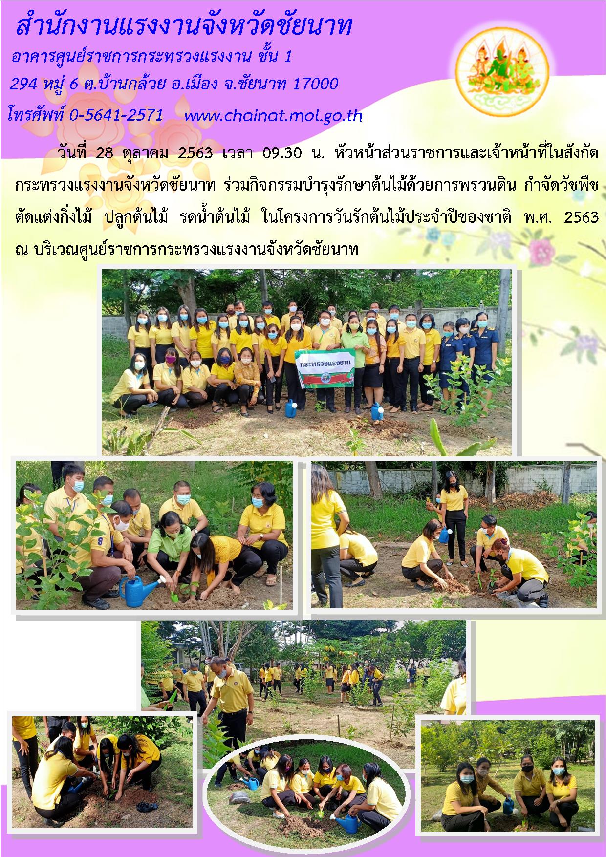Mol-Thailand